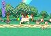 51SVSN15kxL. SL75 Buy Dora the Explorer: Doras Big Birthday Adventure