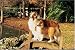   - 500 Piece Shetland Sheepdog Jigsaw Puzzle