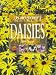 The Plantfinder's Guide to Daisies (Plantfinder's Guide (David & Charles))