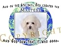 Maltese Mouse Pad Dog Mousepad "Creation"