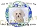 image 16 - Maltese Mouse Pad Dog Mousepad Creation