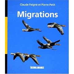 Migrations