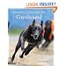 Training and Racing the Greyhound