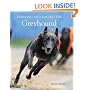 Training and Racing the Greyhound