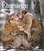 Etre singe Etre singe