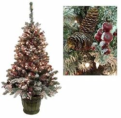5' Pre-Lit Frosted Hawthorne Fir Potted Artificial Christmas Tree - Clear Lights