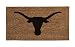 NCAA Texas Longhorns 16 x 28-Inch Coir Mat