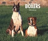 For the Love of Boxers 2008 Calendar