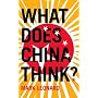 What Does China Think?