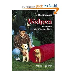 Welpen brauchen Pr�gungsspieltage. Geschwisterersatz mit behutsamer Fr�hsterziehung