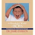 The Wonderful World of Boys