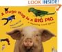 A Huge Hog Is a Big Pig: A Rhyming Word Game