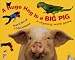 A Huge Hog Is a Big Pig: A Rhyming Word Game