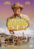 The Castaway Cowboy
