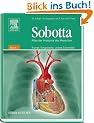 Atlas der Anatomie des Menschen, Bd.2 : Rumpf, Eingeweide, untere Extremit�t