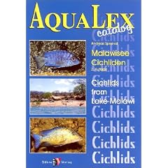 AquaLex-Catalog, Malawisee-Cichliden: Cichlids from Lake Malawi. Einleitungstext in Englisch. Informationen �ber Aquariengr��e, empfohlene Haltung, Brutpflege und Nahrungsgrundlage
