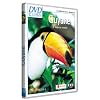 Guyane - Aventure nature