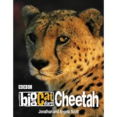 Cheetah (Big Cat Diary)