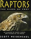 Raptors