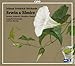 Classical Music : Johann Friedrich Reichhardt: Erwin und Elmire