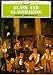 Book Glass and Glassmaking (Shire Library)