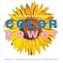 Color Power: Top Tips For Enhancing Every Area of Your Life Through Color