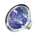 Ushio MR16 Whitestar 50 Watt 12 Volt Spot 4200K Halogen Bulb