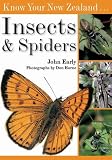Native insects & spiders