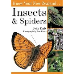 Know Your New Zealand Insects and Spiders