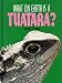 Books : What on Earth Is a Tuatara? (What on Earth)