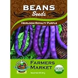 Organic Heirloom Royalty Purple Bush Beans S