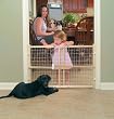 GMI 24-Inch GuardMaster II Wire Mesh Security Pet Gate, Standard