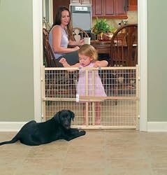 GMI 24-Inch GuardMaster II Wire Mesh Security Pet Gate, Standard