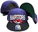 Toronto Raptors Purple/Black Big Logo Snapback Adjustable Plastic ...
