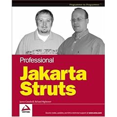 Professional Jakarta Struts (Programmer to Programmer)