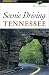 Scenic Driving Tennessee
