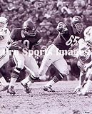 Gale Sayers Chicago Bears 8x10 Photo