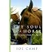 The Soul of a Horse: Life Lessons from the Herd (Thorndike Health, Home & Learning)
