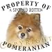  - Pomeranian 