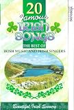 20 Famous Irish Songs - The Best Of Irish Music And Irish Singers [VHS]