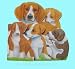 Children Bilingual Books/Pictures Books - 7 x 7 BKB17/Dogs - BKB17