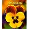 Coffee Table Books of Flowers