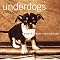 Meaningful Dog Photographs - Canvas Dog Studio