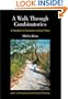 A Walk Through Combinatorics
