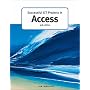 Successful ICT Projects in Access (Successful ICT Projects) (A Level ICT)