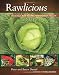 Books : Rawlicious: Delicious Raw Recipes for Radiant Health