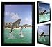 BANBERRY DESIGNS 3D Dolphins Print - Ocean and Tropical Scene - Holographic Lenticular - Black Framed Poster Wall Art Print - Hang in Kids Bedroom Bathroom