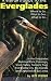 A Visitor's Guide to the Everglades