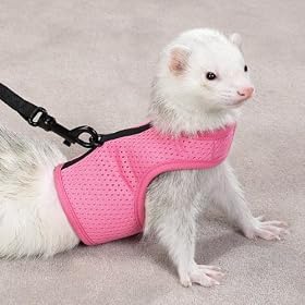 Biddie Buddies Ferret Harness & Lead MEDIUM - PINK - Biddie Buddies Ferret Harness & Lead