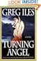 Turning Angel: A Novel